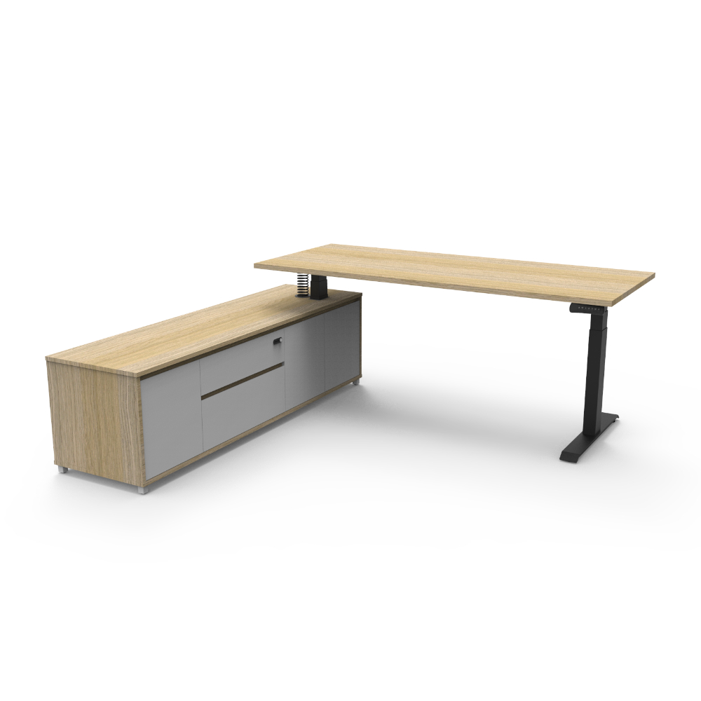 Sit Stand Desks & Workstations